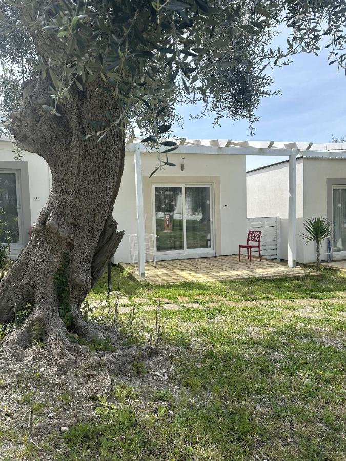 Frontemare Hotel Village & Ristorante Роди Гарганико Екстериор снимка